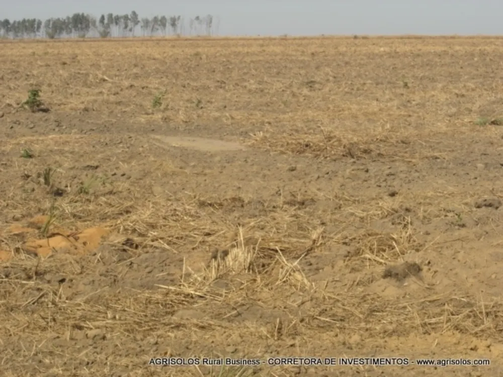 Terreno, 4000 m² - Foto 12