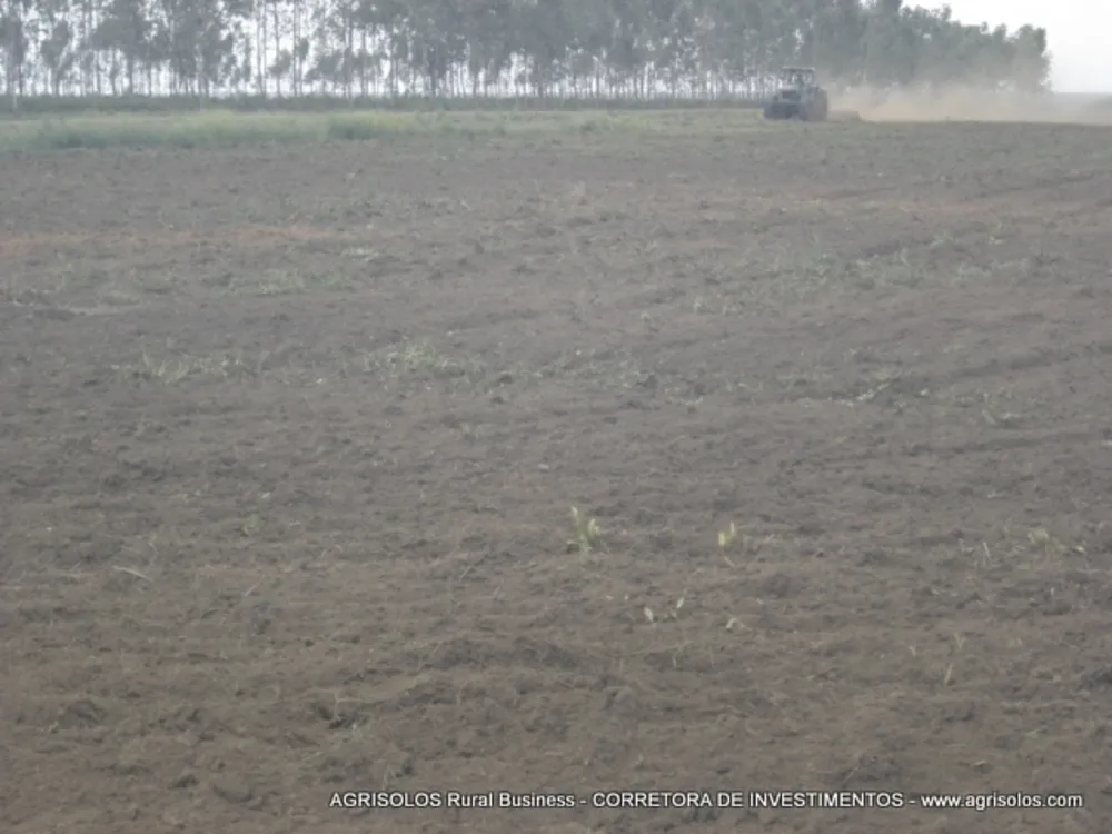 Terreno, 4000 m² - Foto 2