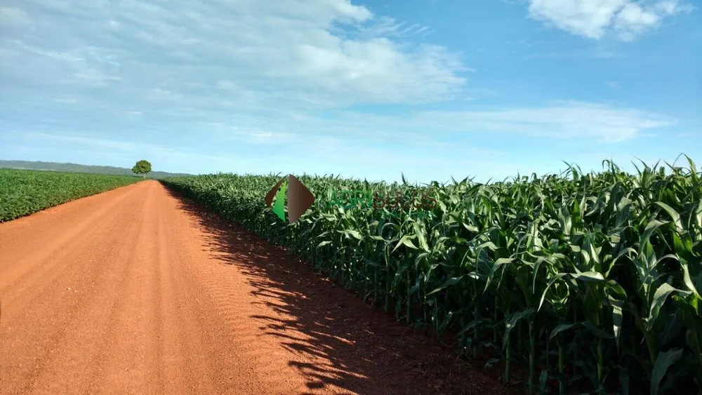 Terreno, 2 hectares - Foto 1
