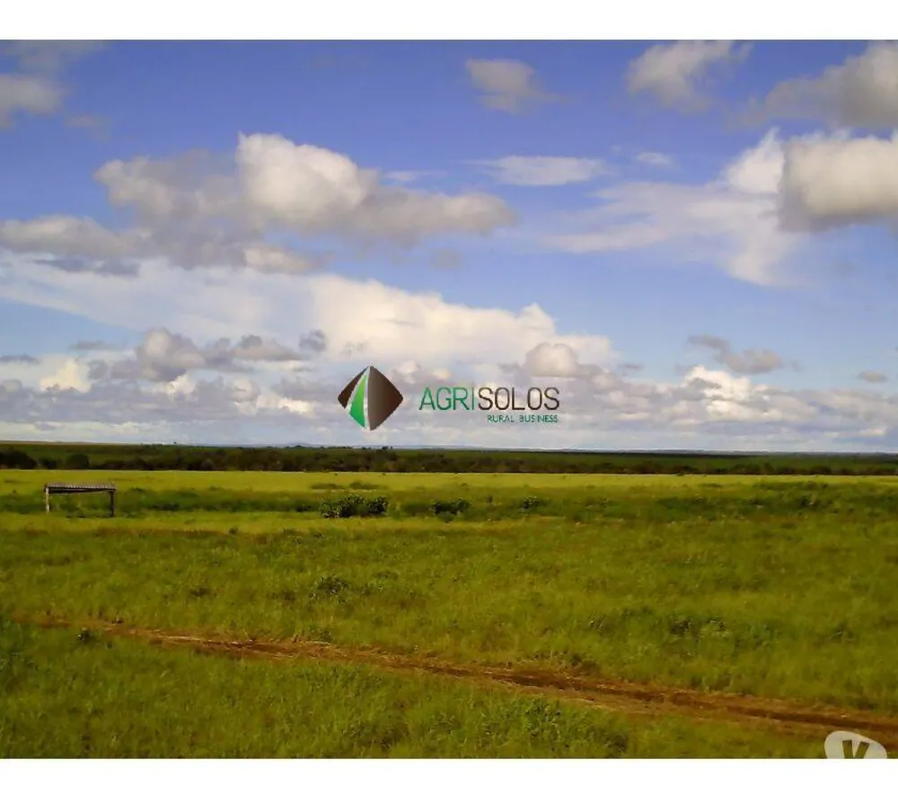 Terreno, 2 hectares - Foto 6