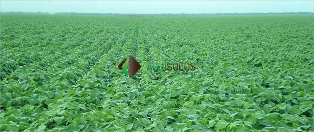 Terreno, 2 hectares - Foto 7