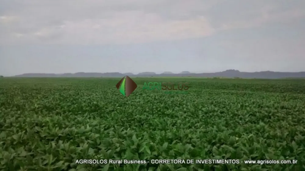 Terreno, 2500 m² - Foto 6