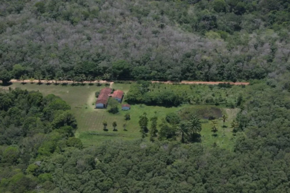 Terreno, 4389 m² - Foto 6