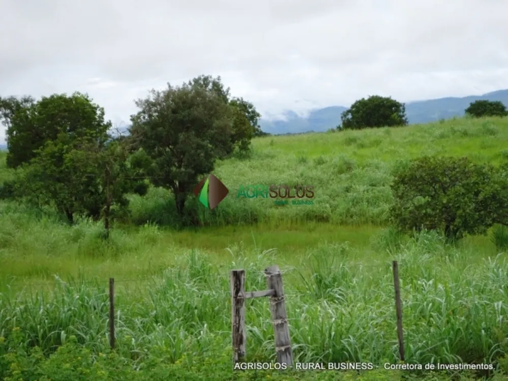 Terreno, 2 hectares - Foto 6