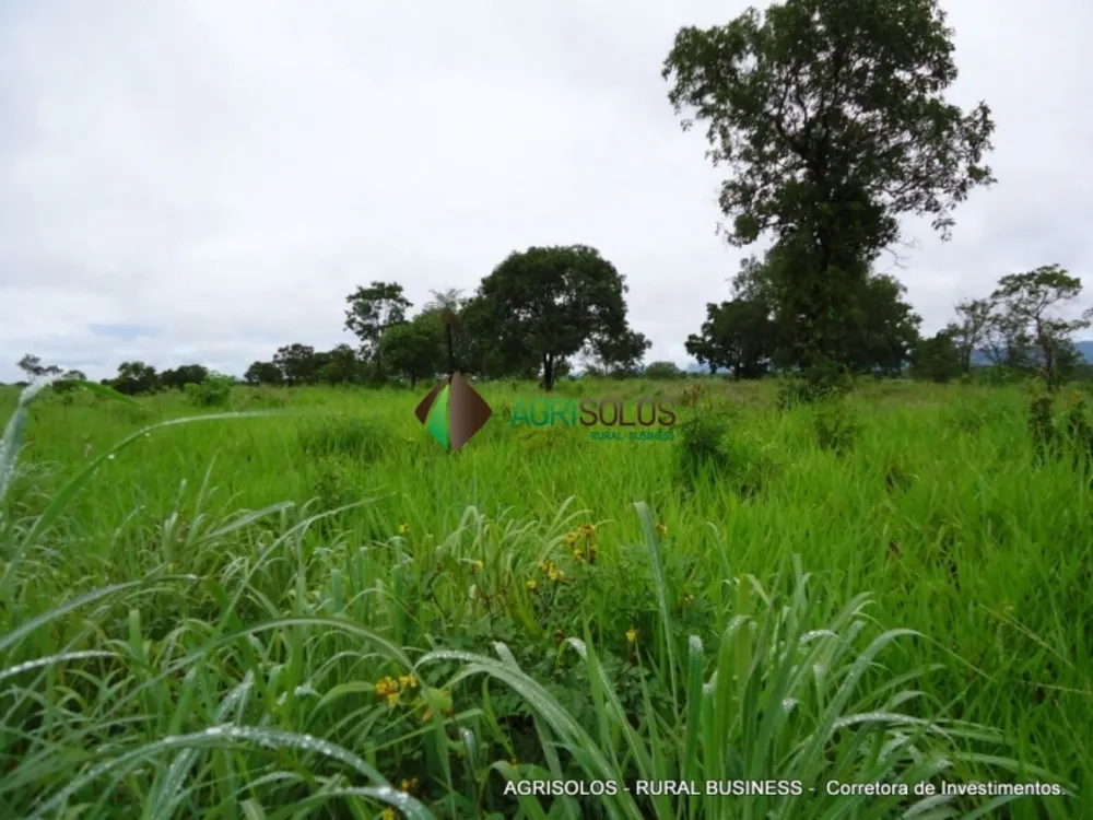 Terreno, 2 hectares - Foto 6