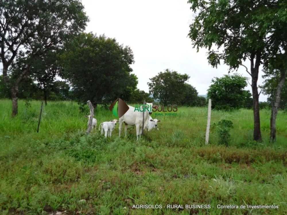 Terreno, 2 hectares - Foto 10