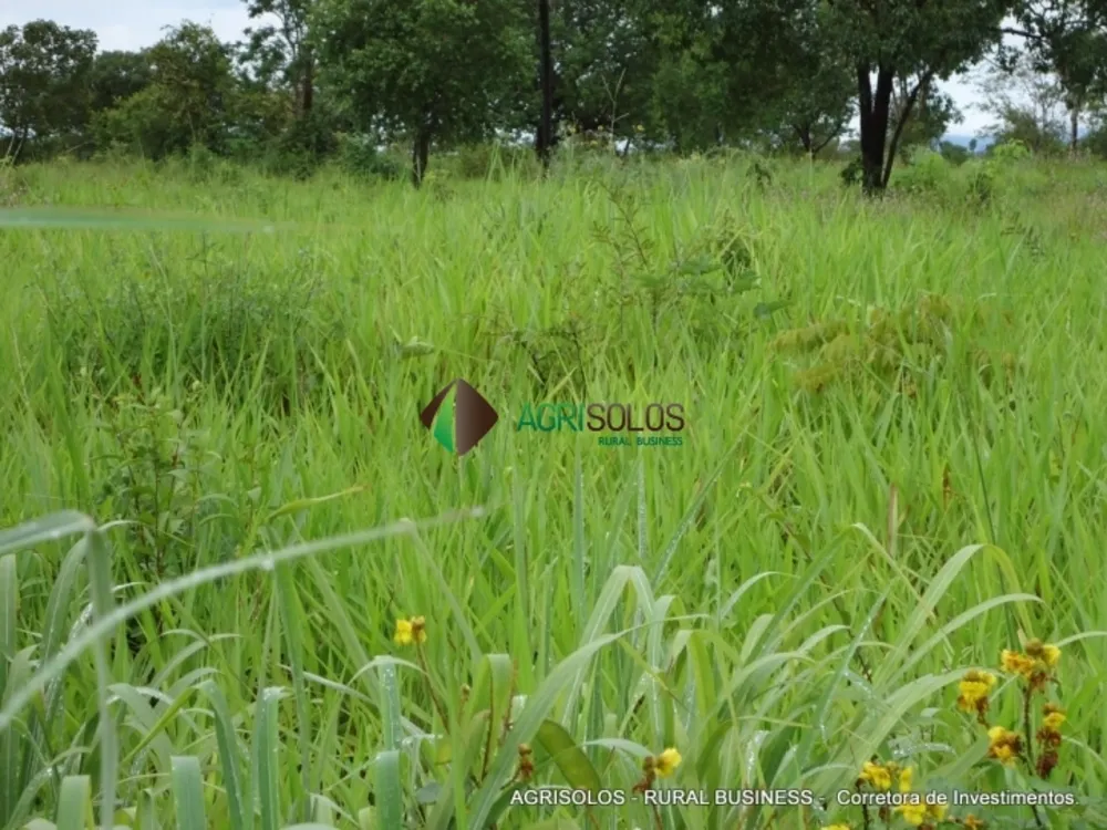 Terreno, 2 hectares - Foto 8