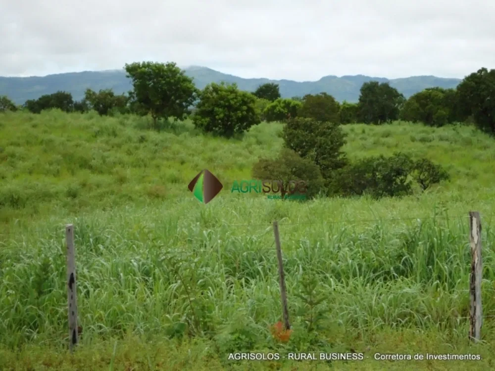 Terreno, 2 hectares - Foto 7