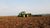 Terreno, 4 hectares - Foto 4