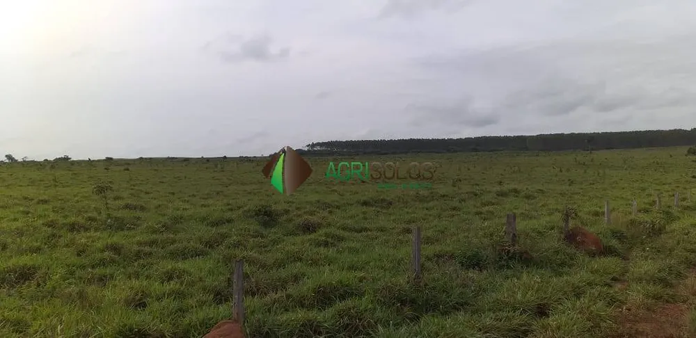 Terreno, 9 hectares - Foto 4