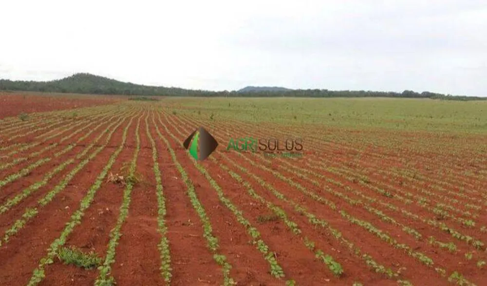 Terreno, 1 hectares - Foto 6