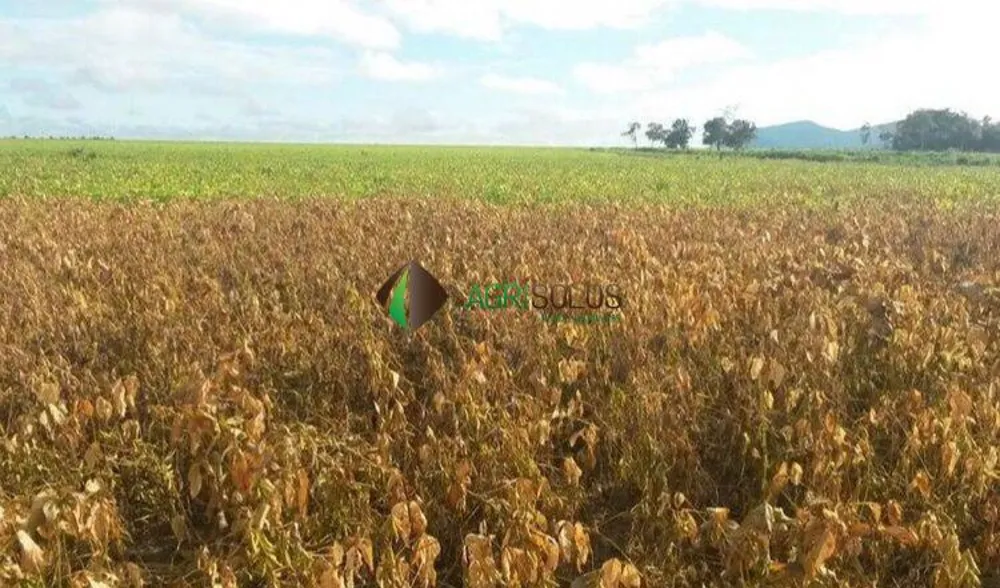 Terreno, 1 hectares - Foto 4