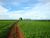 Terreno, 5 hectares - Foto 4