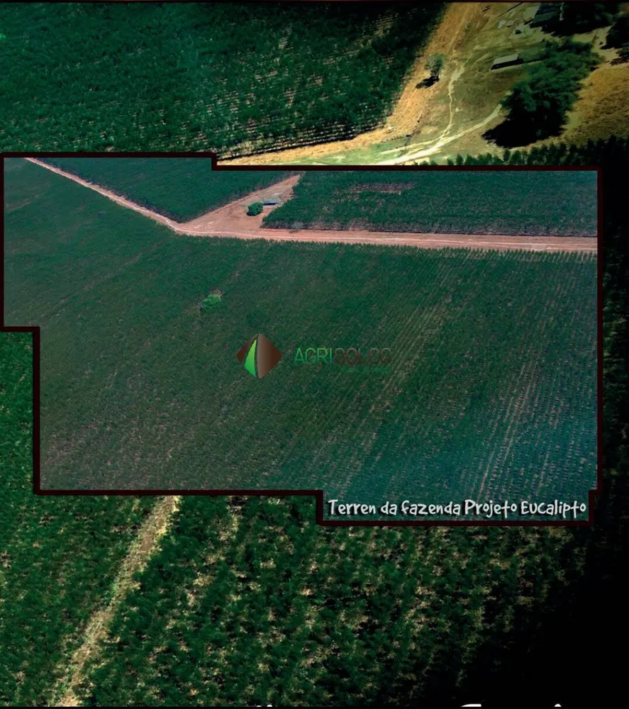 Terreno, 10000 m² - Foto 6