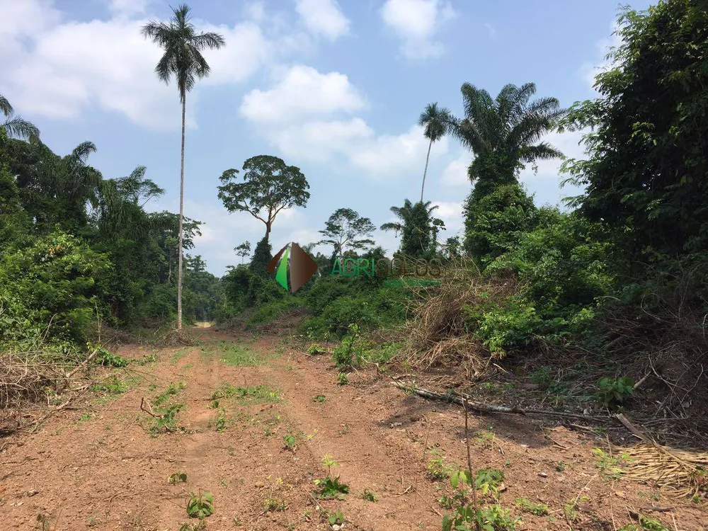 Terreno, 3 hectares - Foto 4