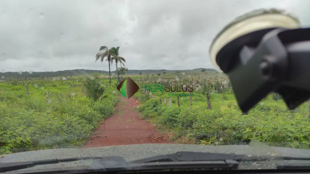 Terreno, 67 hectares - Foto 7
