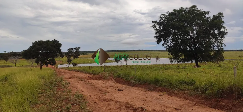 Terreno, 67 hectares - Foto 6