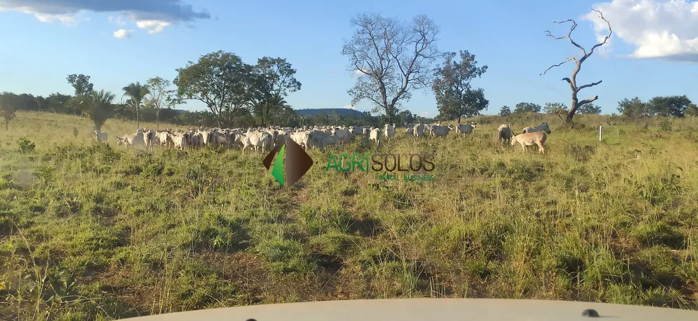 Terreno, 67 hectares - Foto 3
