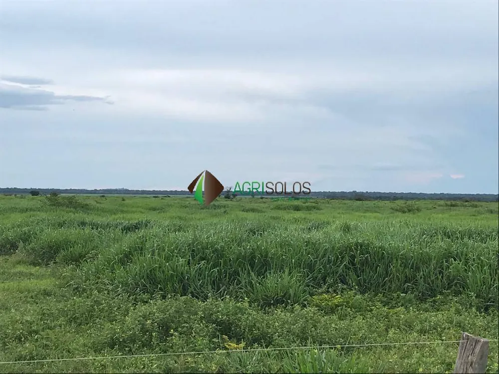 Terreno, 5 hectares - Foto 7