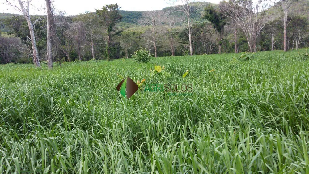 Terreno, 5 hectares - Foto 11