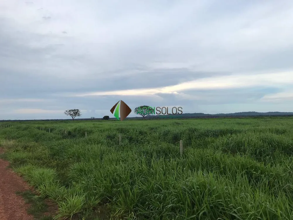 Terreno, 5 hectares - Foto 6