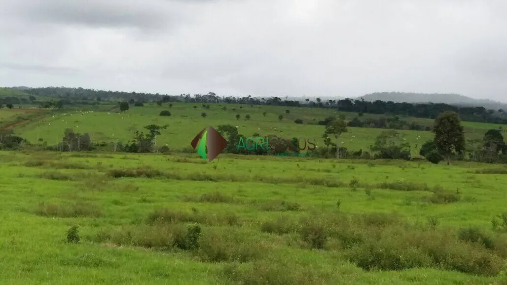 Terreno, 5 hectares - Foto 12
