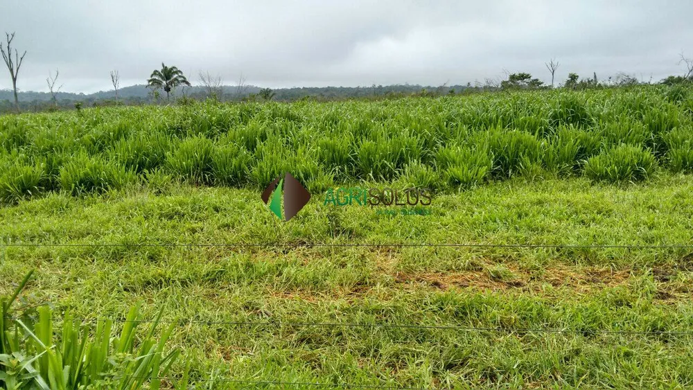 Terreno, 5 hectares - Foto 3