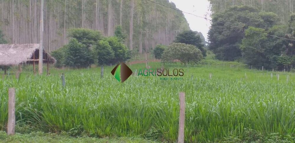 Terreno à venda, 90000m² - Foto 1