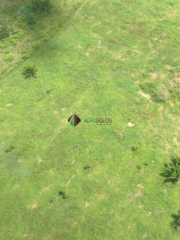 Terreno, 8200 m² - Foto 2