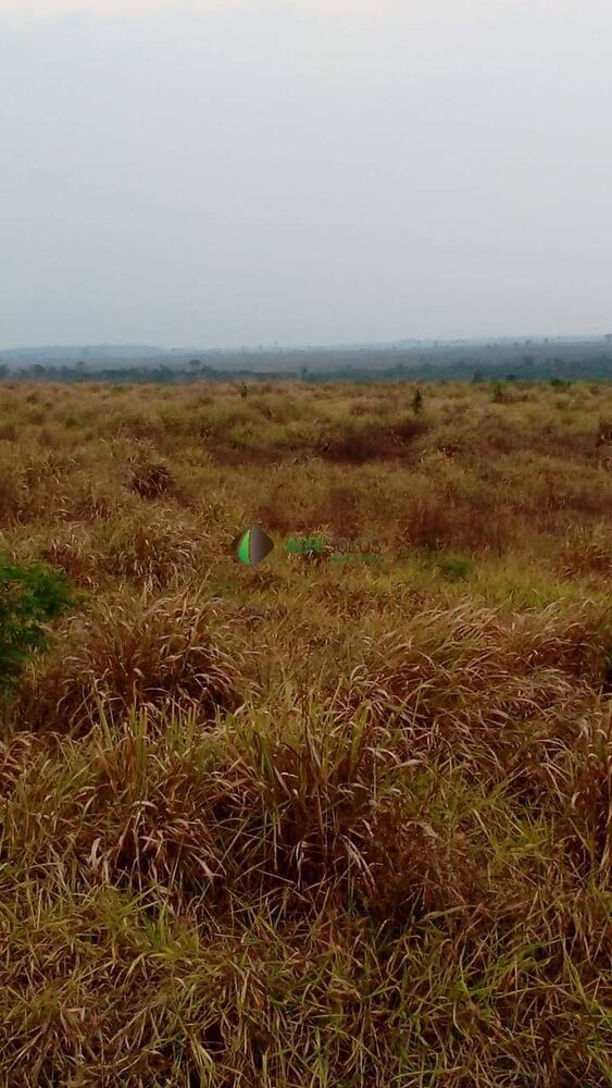 Terreno, 2 hectares - Foto 3