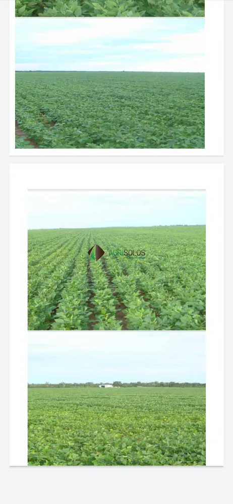 Terreno, 4000 m² - Foto 2
