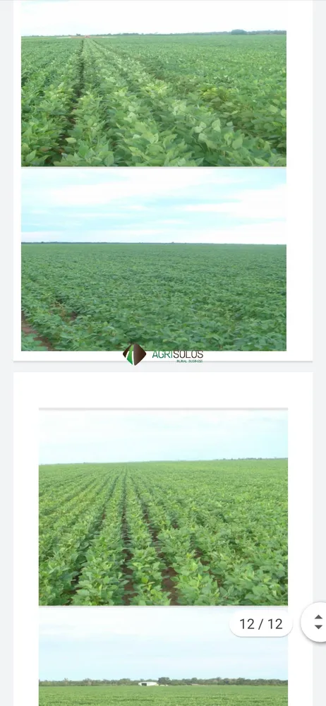 Terreno, 4000 m² - Foto 6