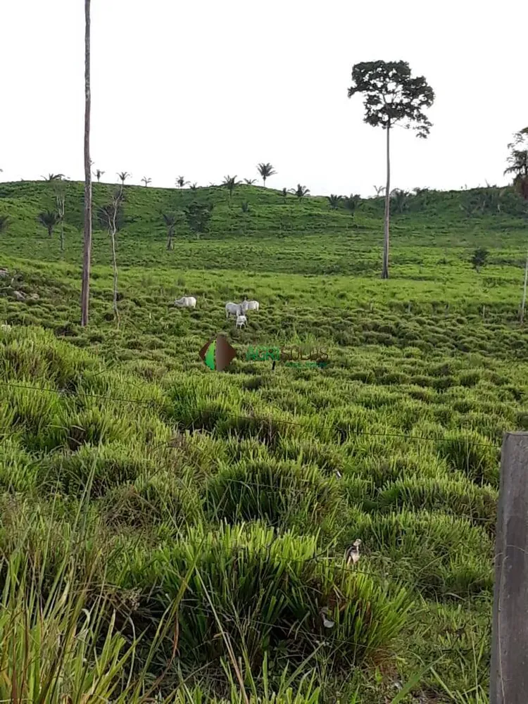 Terreno, 4200 m² - Foto 7
