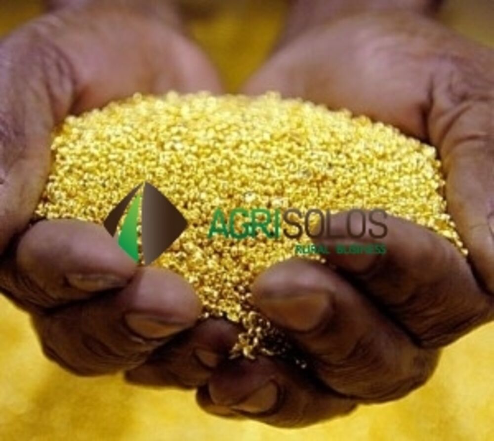 Prédio Inteiro, 3000000 m² - Foto 1