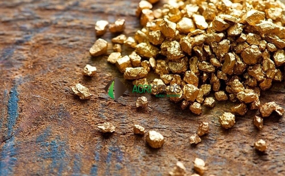 Prédio Inteiro, 3000000 m² - Foto 3