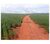 Terreno, 4 hectares - Foto 3