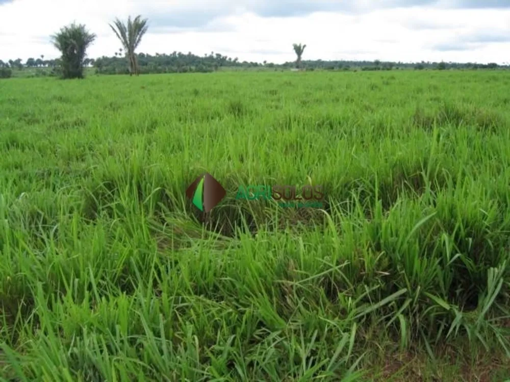 Terreno, 5 hectares - Foto 4