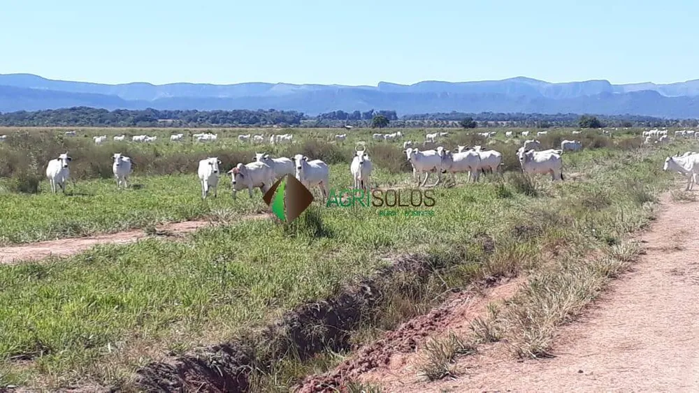Terreno, 1 hectares - Foto 12