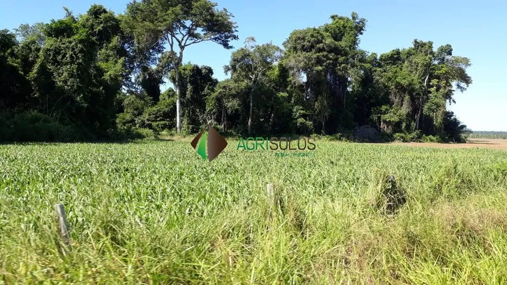 Terreno, 1 hectares - Foto 7