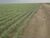 Terreno, 4000 m² - Foto 2