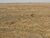Terreno, 4000 m² - Foto 3