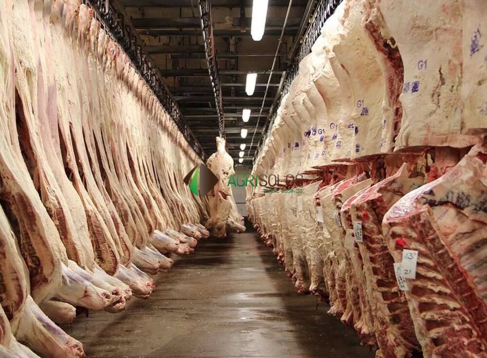 Prédio Inteiro, 350000000 m² - Foto 1