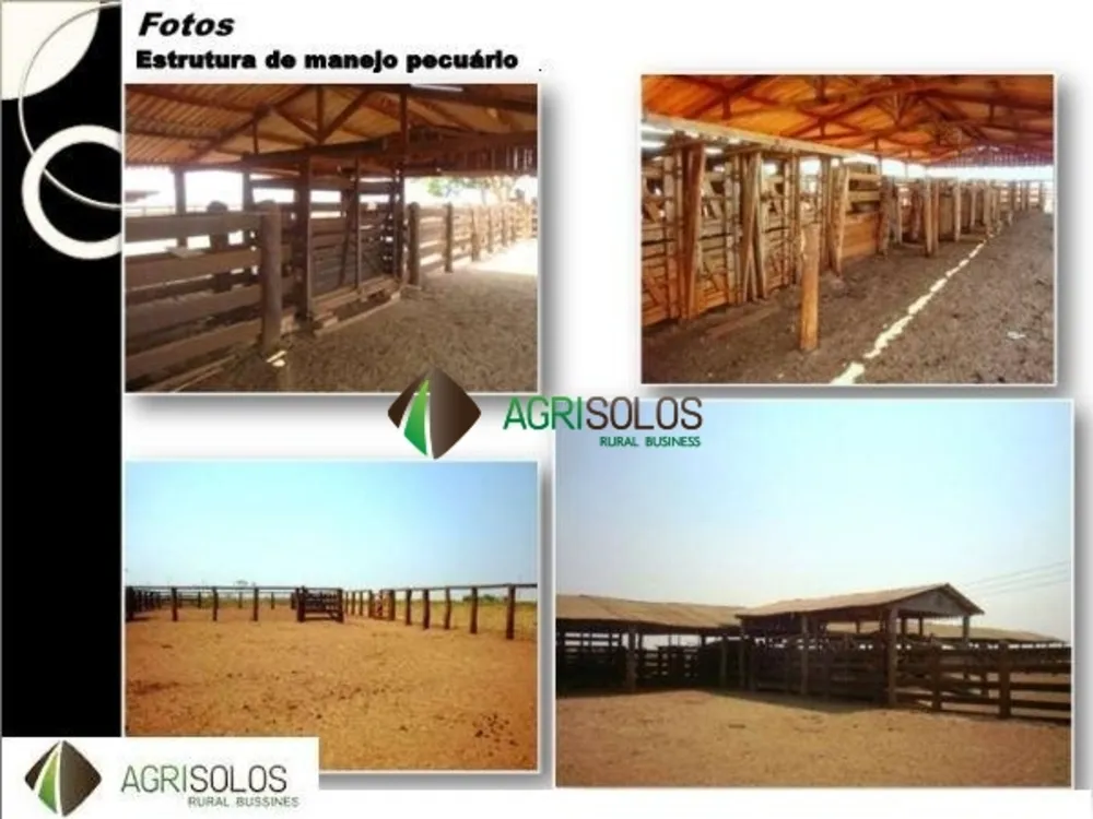 Terreno, 4 hectares - Foto 3