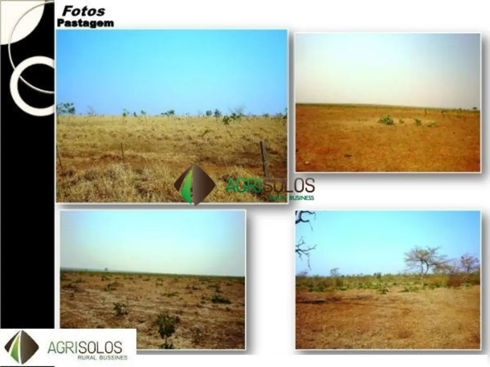 Terreno, 4 hectares - Foto 2