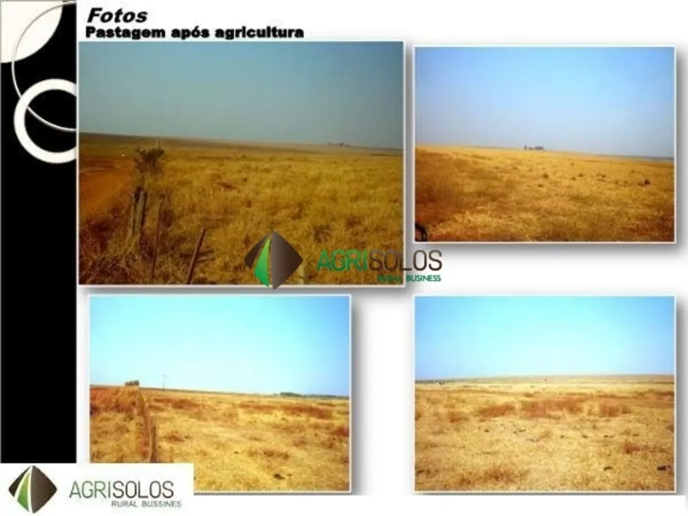 Terreno, 4 hectares - Foto 4