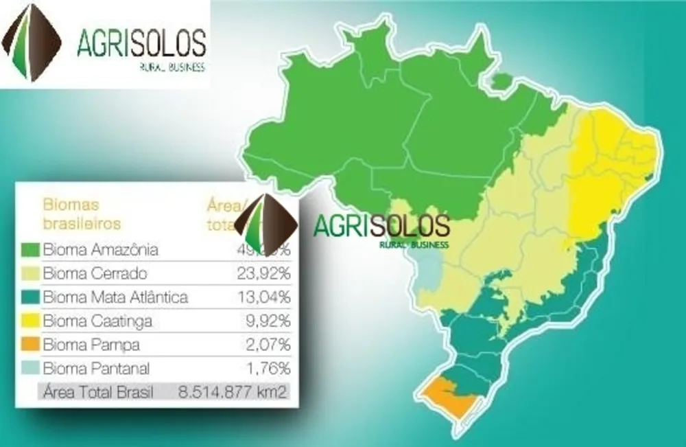 Terreno, 5000 m² - Foto 4