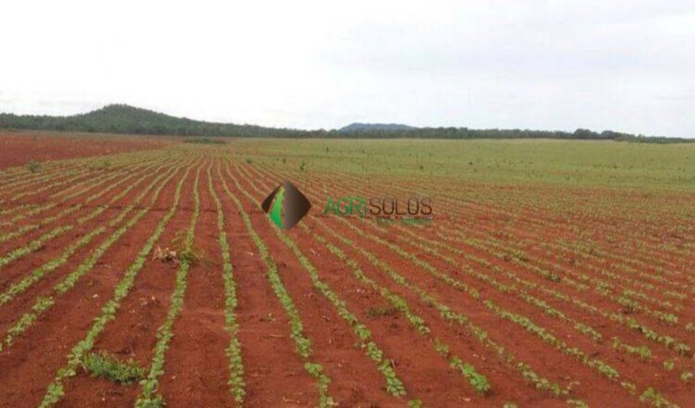 Terreno, 1 hectares - Foto 2