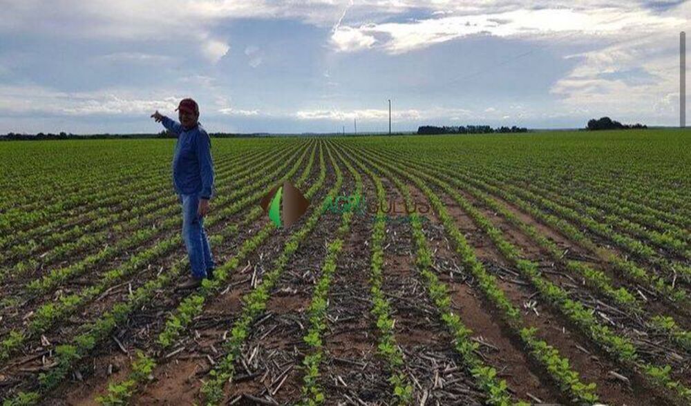 Terreno, 1 hectares - Foto 4