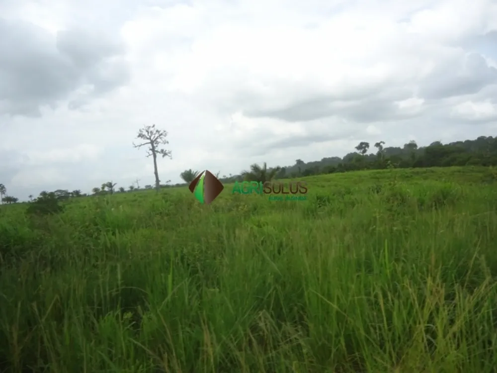Terreno, 8800 m² - Foto 10