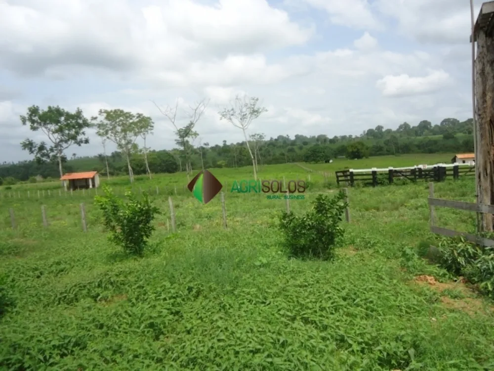 Terreno, 8800 m² - Foto 6